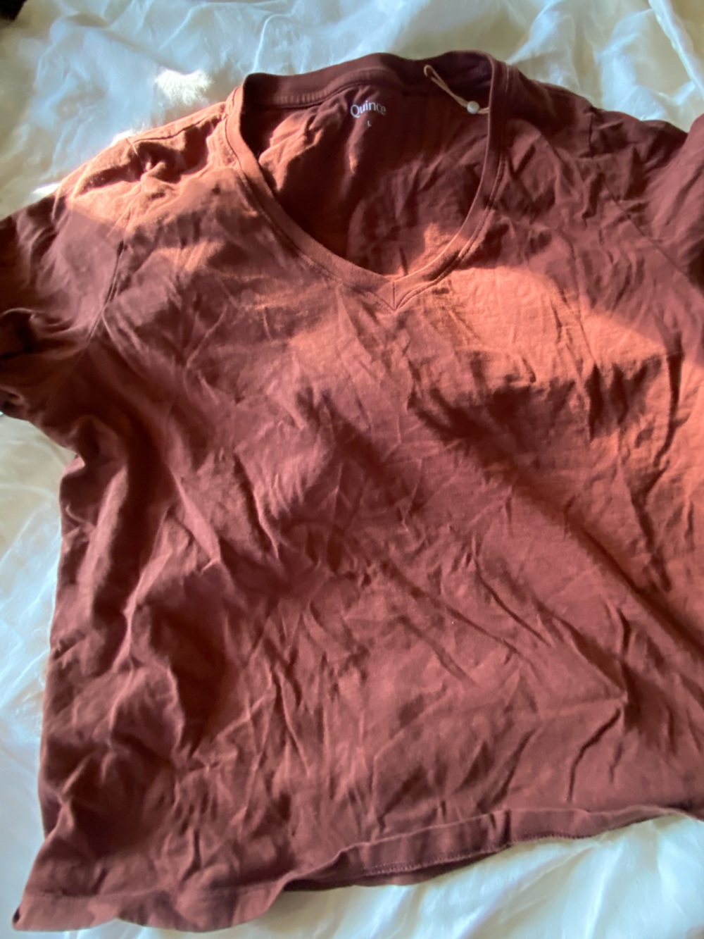 Quince Women’s Crop Rust Tee Large